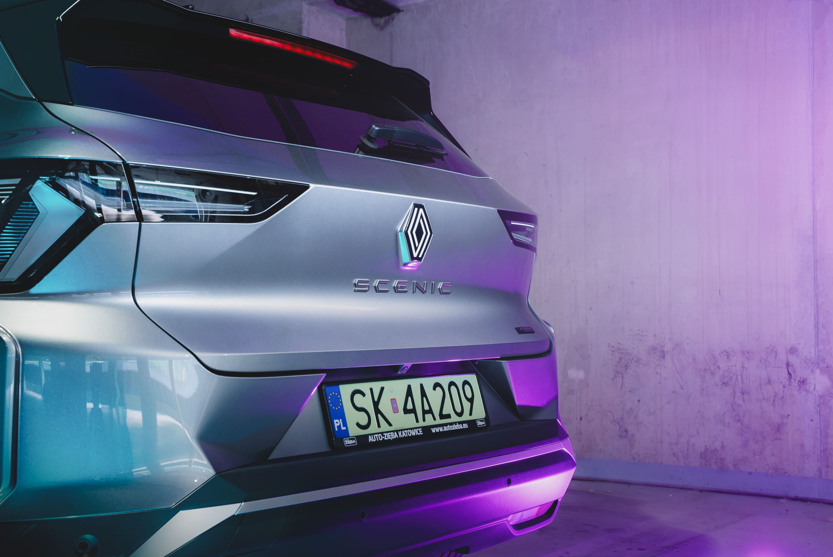 Auto-Zięba sesja